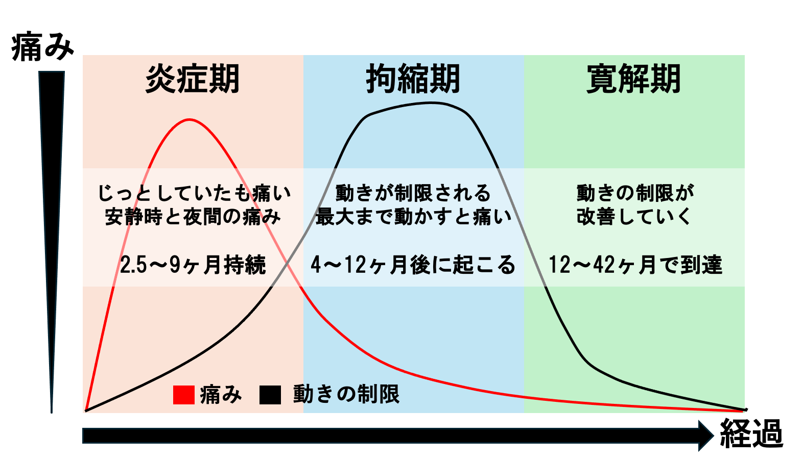肩関節周囲炎の病期表