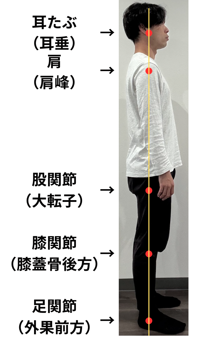 良い姿勢の基準